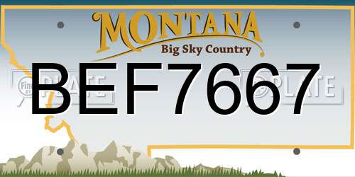 BEF7667 Montana License Plate