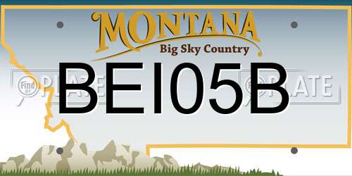 BEI05B Montana License Plate