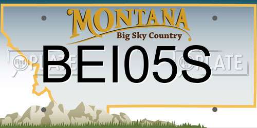 BEI05S Montana License Plate