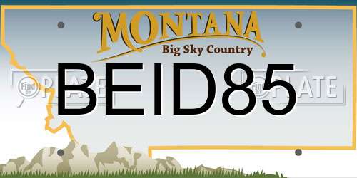 BEID85 Montana License Plate