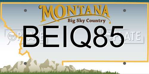 BEIQ85 Montana License Plate