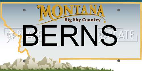 BERNS Montana License Plate