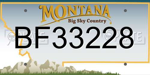 BF33228 Montana License Plate