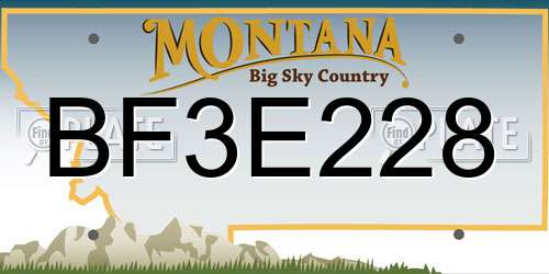 BF3E228 Montana License Plate