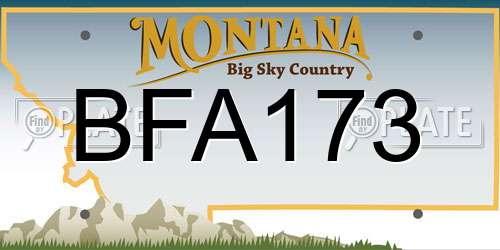 BFA173 Montana License Plate
