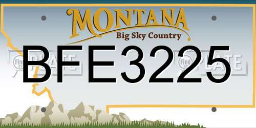 BFE3225 Montana License Plate