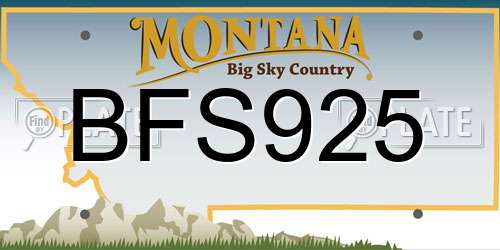 BFS925 Montana License Plate