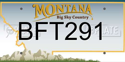 BFT291 Montana License Plate