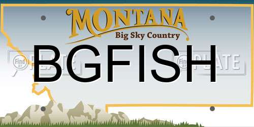 BGFISH Montana License Plate