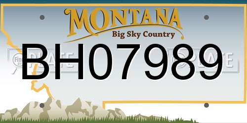 BH07989 Montana License Plate