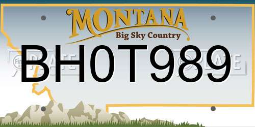BH0T989 Montana License Plate