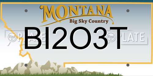 BI2O3T Montana License Plate