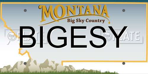 BIGESY Montana License Plate