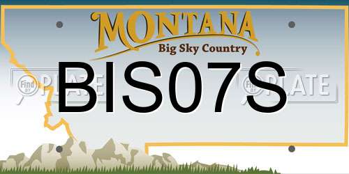 BIS07S Montana License Plate
