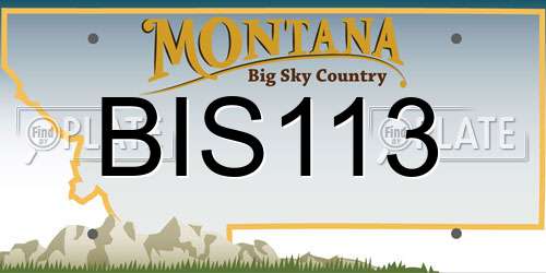 BIS113 Montana License Plate