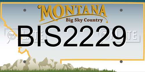 BIS2229 Montana License Plate