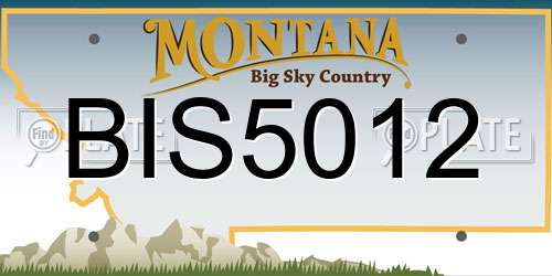 BIS5012 Montana License Plate