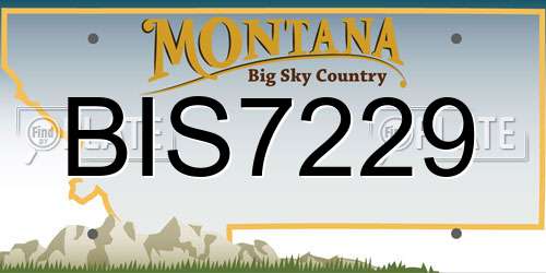 BIS7229 Montana License Plate