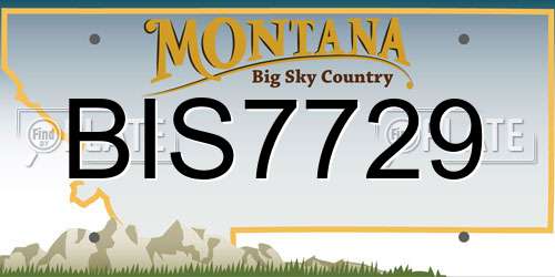 BIS7729 Montana License Plate