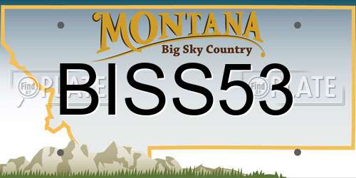 BISS53 Montana License Plate