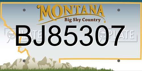 BJ85307 Montana License Plate