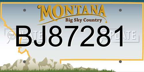 BJ87281 Montana License Plate
