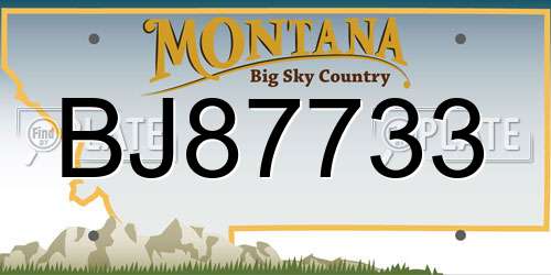 BJ87733 Montana License Plate