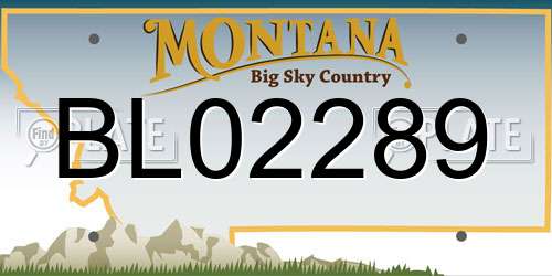 BL02289 Montana License Plate