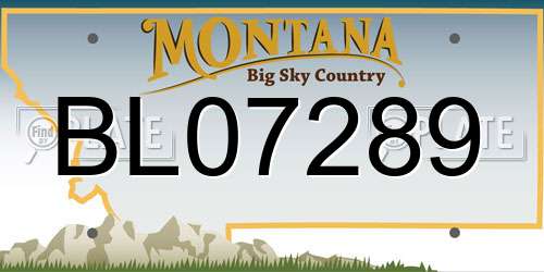 BL07289 Montana License Plate