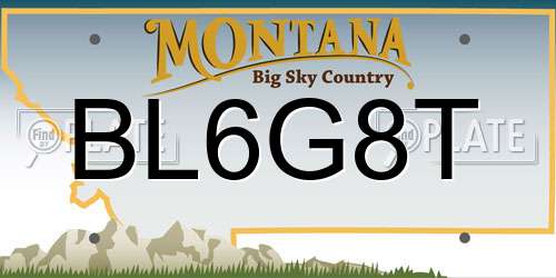 BL6G8T Montana License Plate
