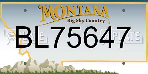 BL75647 Montana License Plate