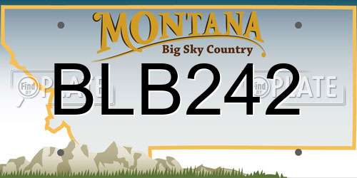 BLB242 Montana License Plate