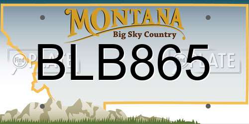 BLB865 Montana License Plate