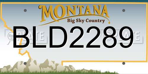 BLD2289 Montana License Plate