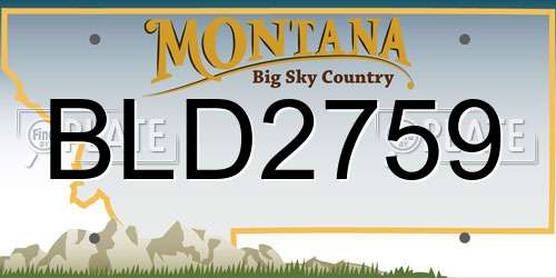 BLD2759 Montana License Plate