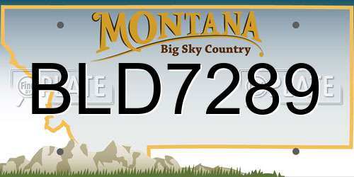 BLD7289 Montana License Plate