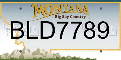 BLD7789 Montana License Plate