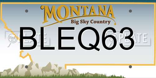 BLEQ63 Montana License Plate