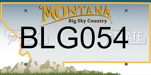 BLG054 Montana License Plate