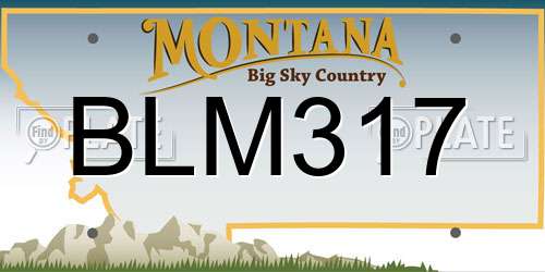 BLM317 Montana License Plate