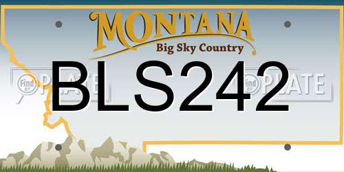 BLS242 Montana License Plate