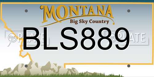 BLS889 Montana License Plate