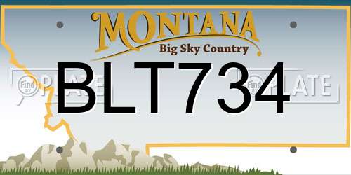 BLT734 Montana License Plate