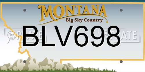 BLV698 Montana License Plate