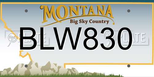 BLW830 Montana License Plate