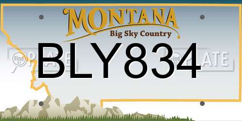 BLY834 Montana License Plate