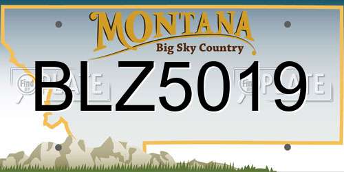 BLZ5019 Montana License Plate