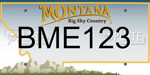 BME123 Montana License Plate