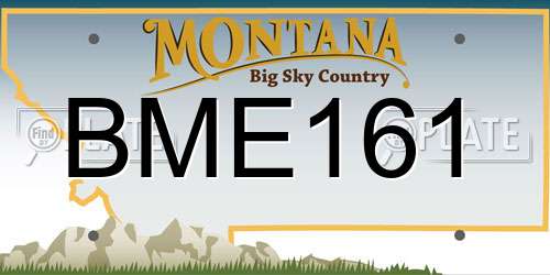 BME161 Montana License Plate