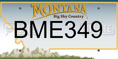 BME349 Montana License Plate